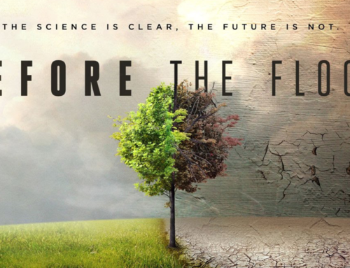 Before the flood: Punto di non ritorno